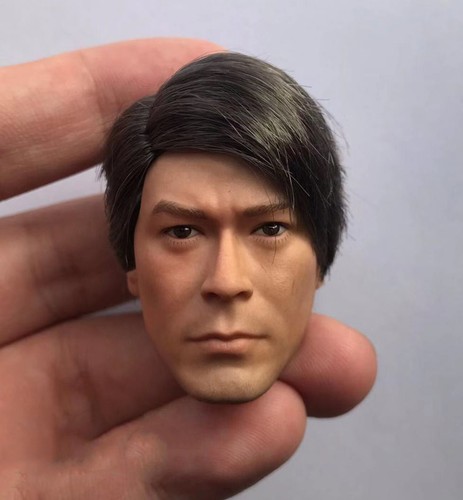 Figura modelo 1/6 Louis Koo actor asiático hombre escultura de cabeza ajuste 12" hágalo usted mismo Hot Toys - Imagen 10 de 16