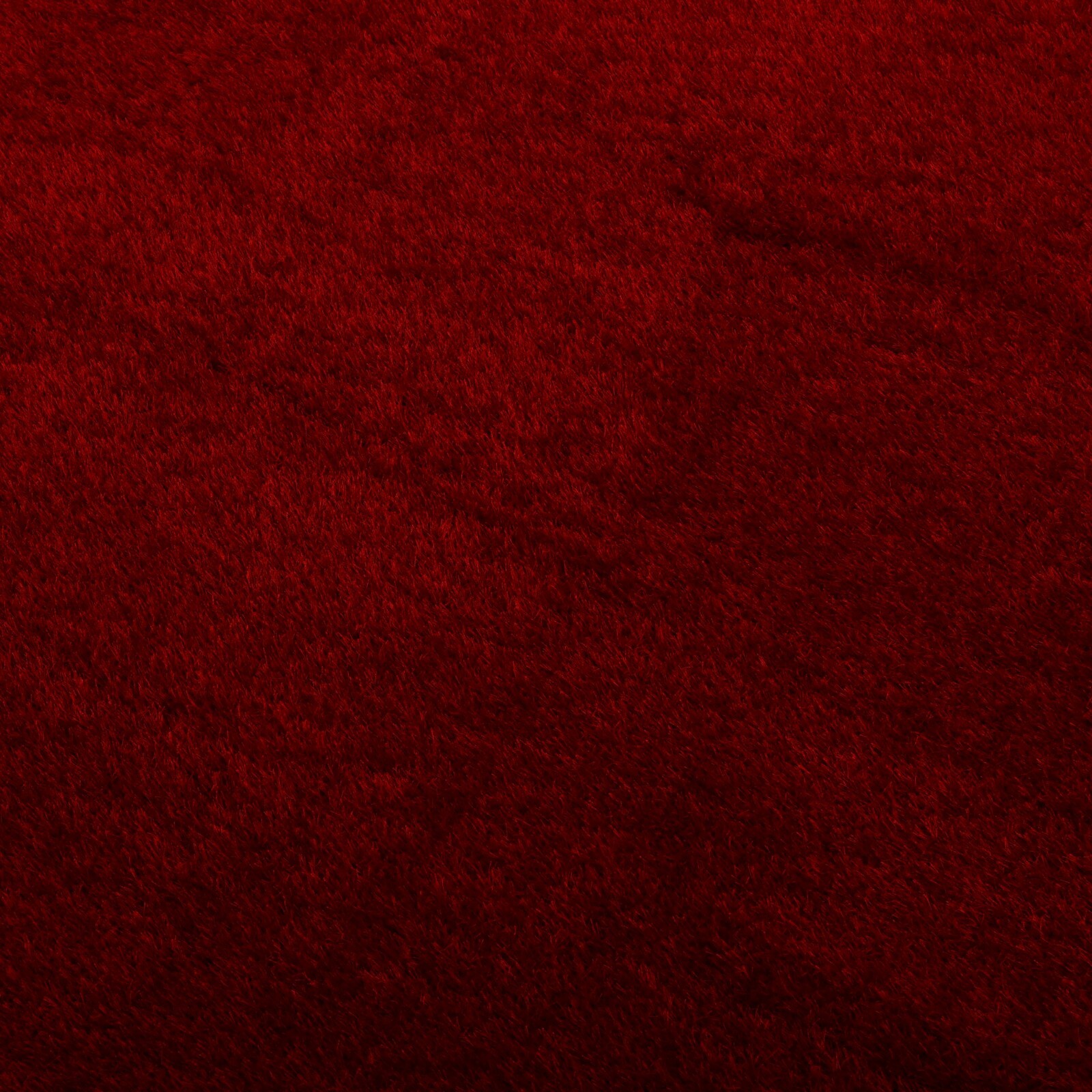 Picture 42 of 55