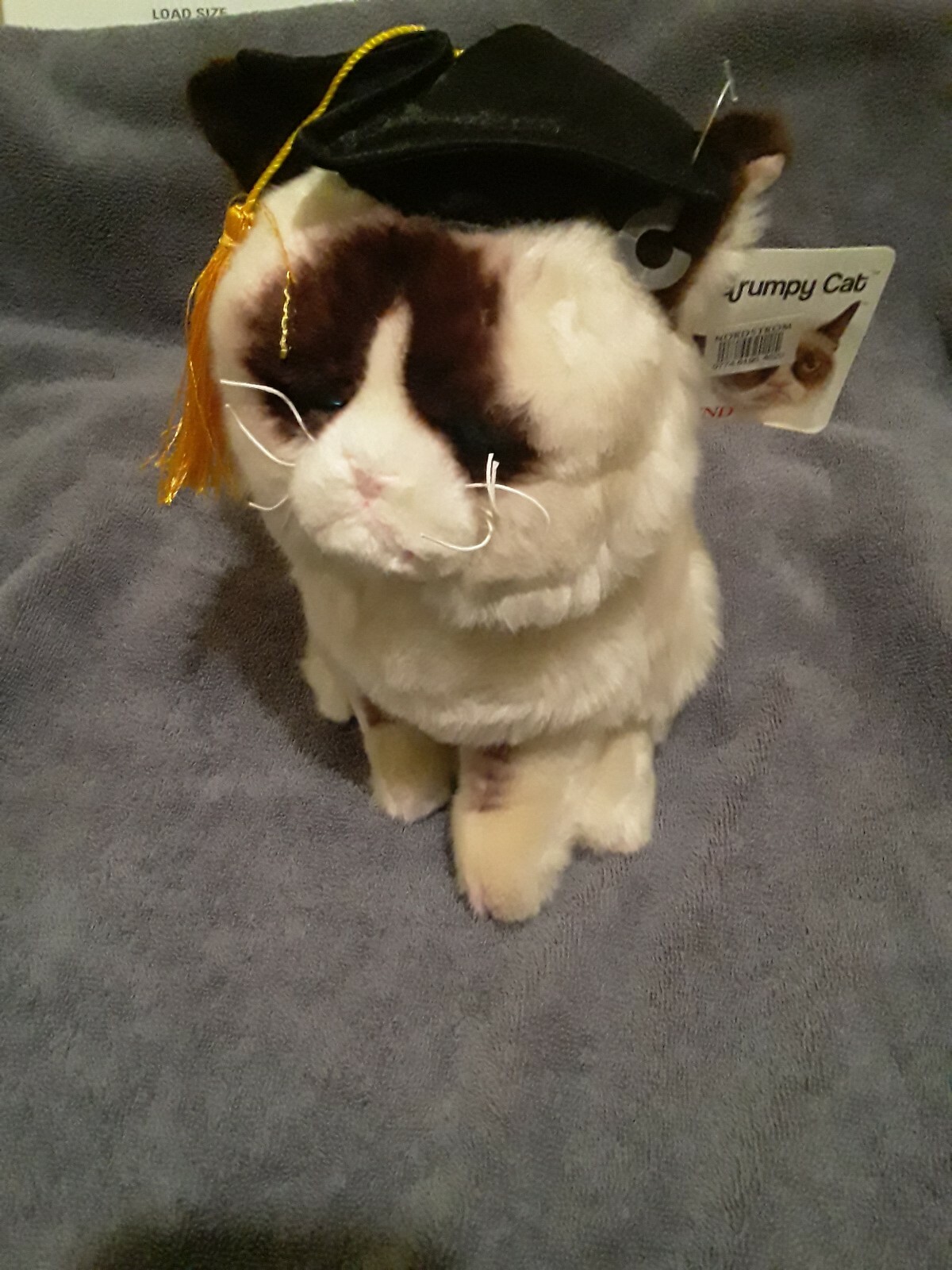 grumpy cat doll