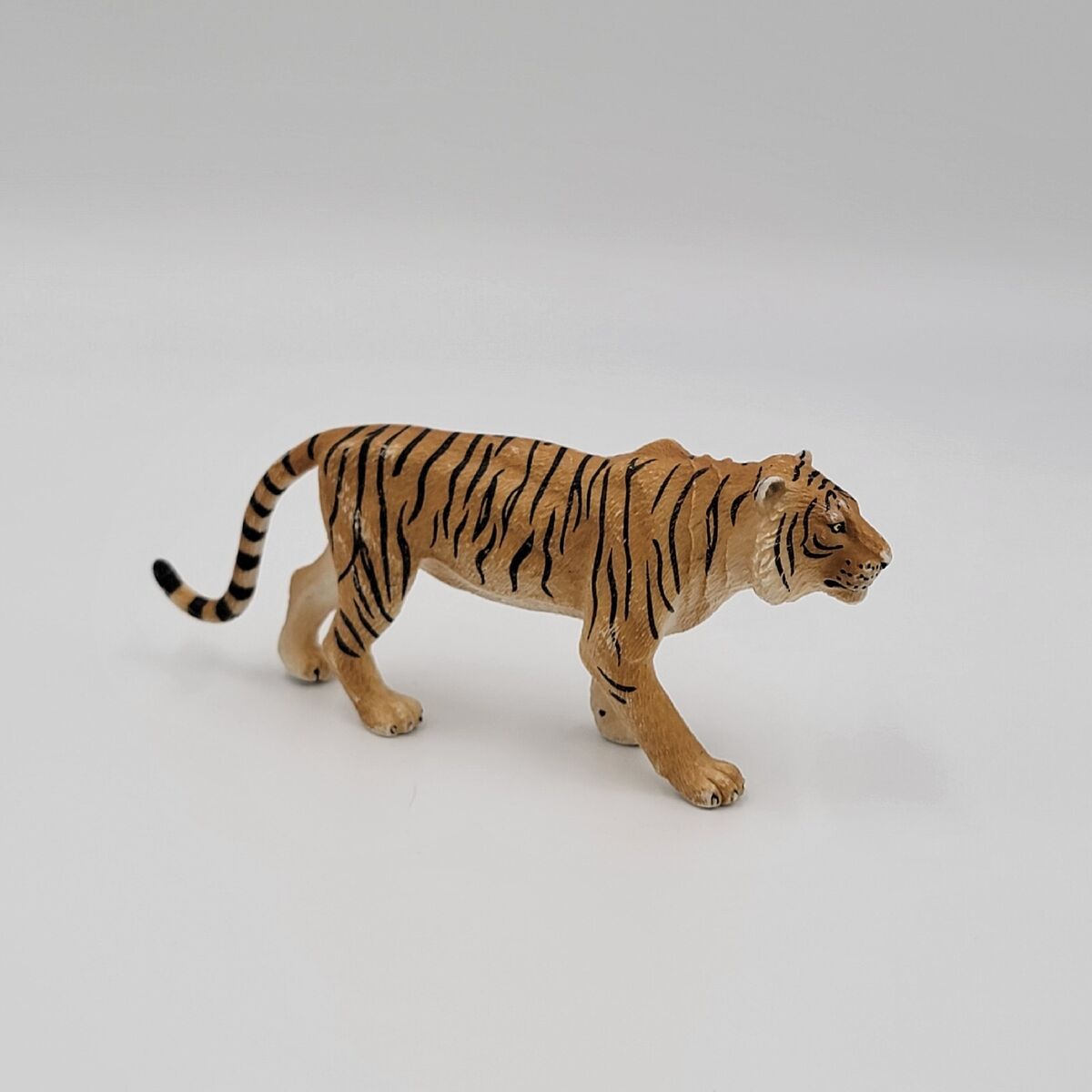 Mojo Black Orange BENGAL TIGER Male Adult Indian Wildlife Mojo Black Orange BENGAL TIGER Male Adult Indian Wildlife