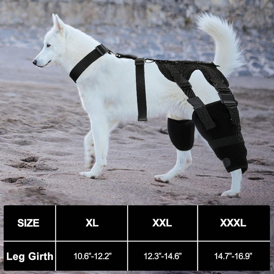 Dog Double Knee Brace, Support for Torn ACL Hind Leg, Luxating Patella