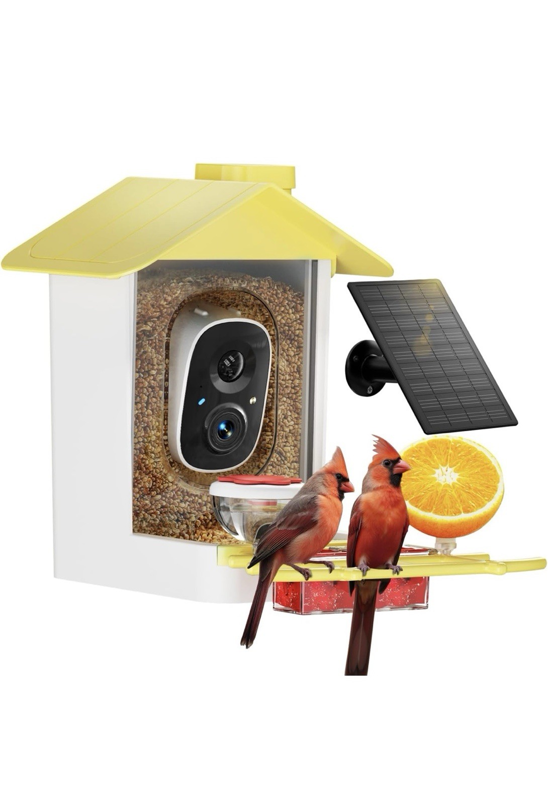 Bird Feeder with Camera 2K HD AI Smart Identify BirdSpecies Solar Panel Outdoor