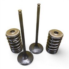 2010 Kawasaki 250 Klx Intake Valve