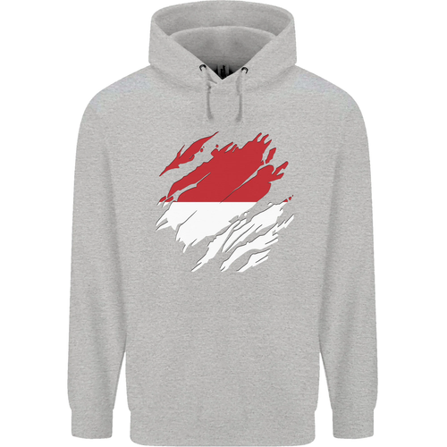 Torn Indonesia Flag Indonesian Day Football Childrens Kids Hoodie - Picture 45 of 76