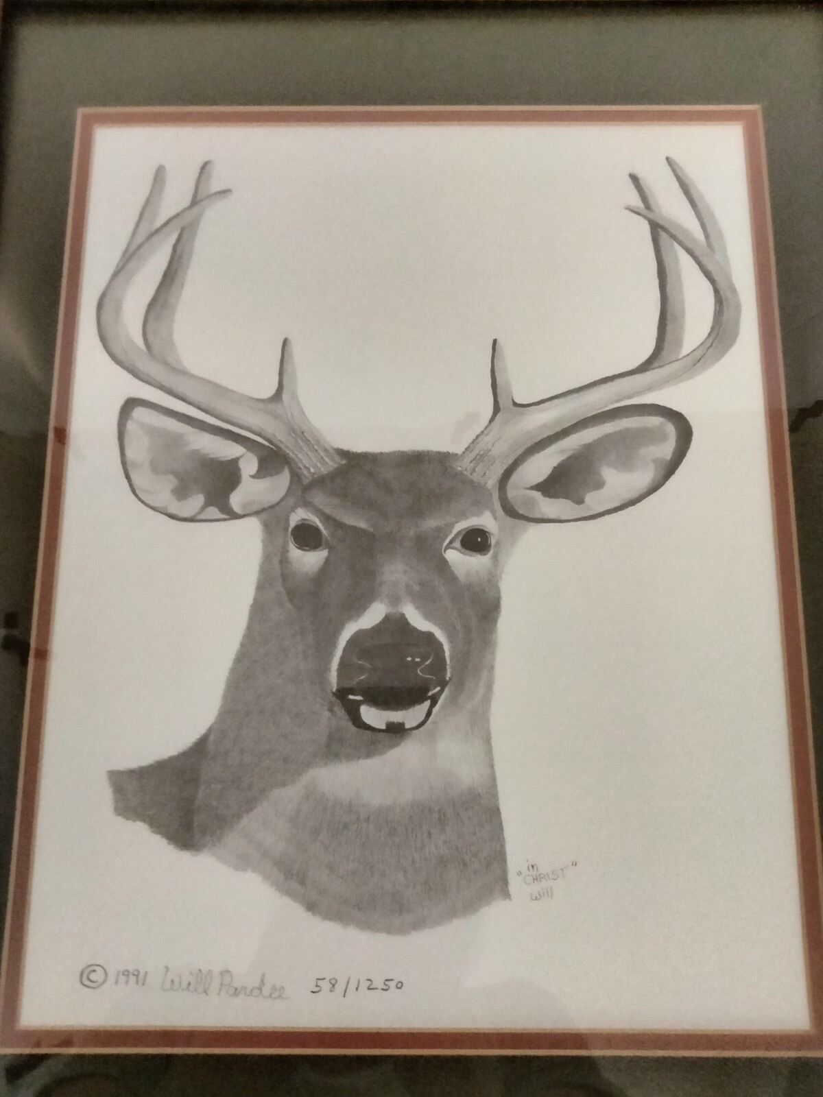 Quadriplegic Artist Will Pardee Mouth Drawing "Whitetail Deer" Print
