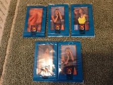 ENDLESS SUMMER PORTFOLIO INTERNATIONAL TRADING CARDS 5 PACKS