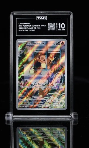 Pokémon Charmander TAG 10 EN 044 Scarlet & Violet Promo Holo Black Star 2023