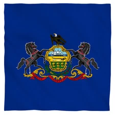 Bandana - State Of Pennsylvania Virtue Liberty & Independence Flag (22x22) mask