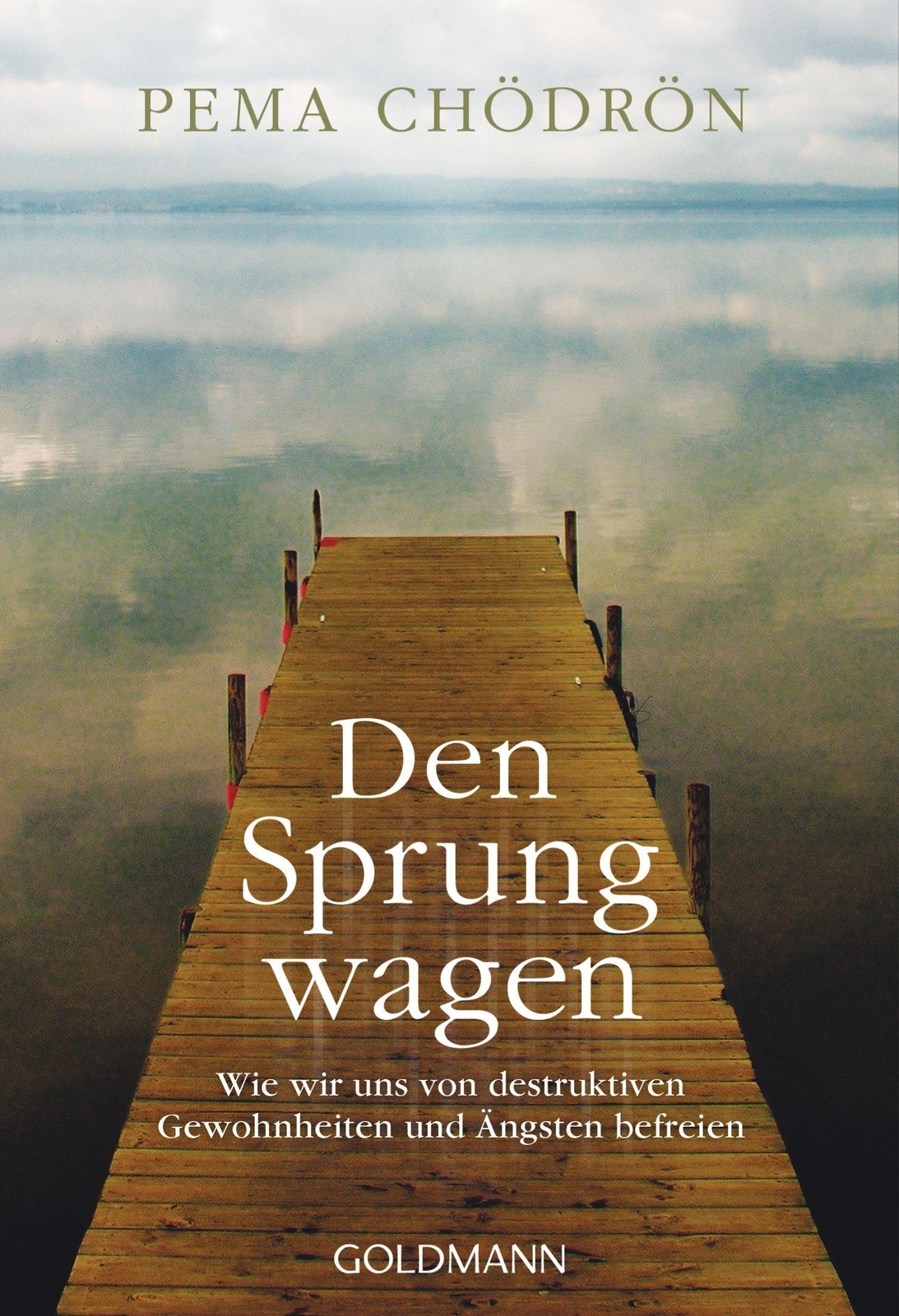 Thumbnail - Pema Chödrön / Den Sprung Wagen / 9783442220120