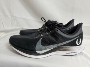 oregon project pegasus turbo