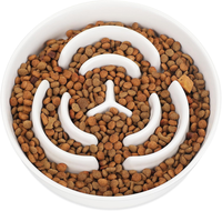 Antischlingnapf Hunde Keramik, Slow Feeder Hundenapf Ø 20.5Cm | Futternapf Hund