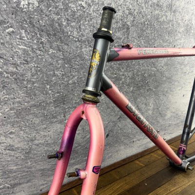 Vintage Bianchi Peregrine Frame Set 19 in Lugged 90s MTB 26 Cafe