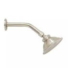 Signature Hardware Windom Watering Can Shower Head, Head Only, Brushed Nickel