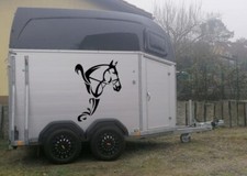Pferd Aufkleber - Pferdekopf - Pferdeanhänger / Transporter / Reitsport