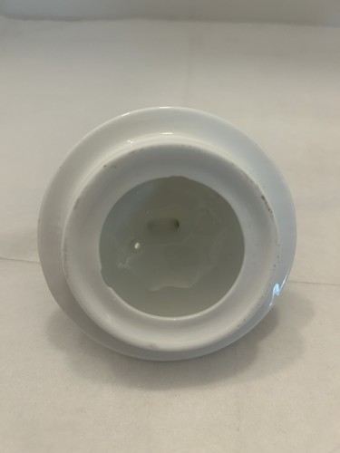 BLUMENTOPF BAUCH TEEKANNE mit gelben Narzissen Porzellan englischer Stil sehr guter Zustand - Bild 6 von 6
