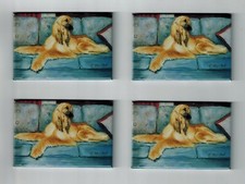 New Tāzī / Afghan Hound Pet Dog 2" x 3" Magnet Set 4 Magnets Ruth Maystead