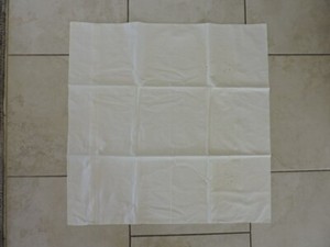 Single European White 80 by 80 cm Pillowcase/Sham