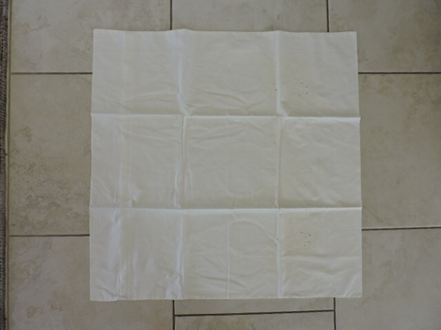 Single European White 80 by 80 cm Pillowcase/Sham