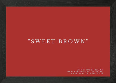 Sweet Brown Framed Wall Art Poster Canvas Print Picture
