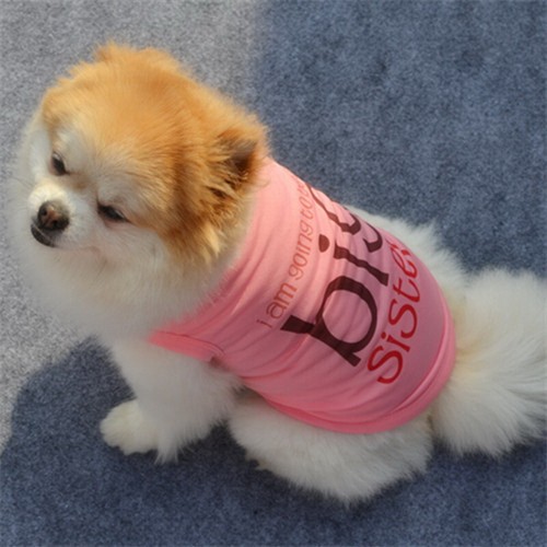 Verano Primavera Varios Mascotas Cachorro Pequeño Perro Gato Mascota Ropa Chaleco Camiseta - Imagen 75 de 191