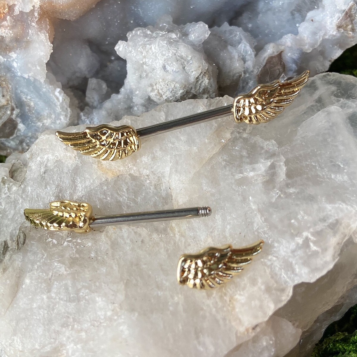 PAIR Angel Wing Nipple Rings Winged Shield Barbell Pierced Body