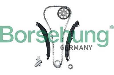 Steuerkettensatz Borsehung B12879