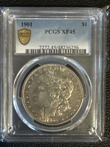 1901 Morgan Silver Dollar $1 PCGS XF45 GOLD SHIELD KEY DATE