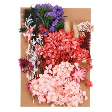 Pressed Flowers Bulk Dried Flowers Natural Pressed Flowers Leaves Multicolor