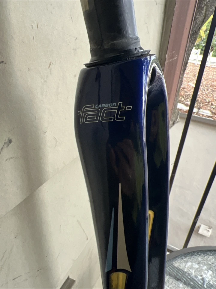 SPECIALIZED FACT CARBON FACTROAD FORK - BLUE - Image 2 of 4