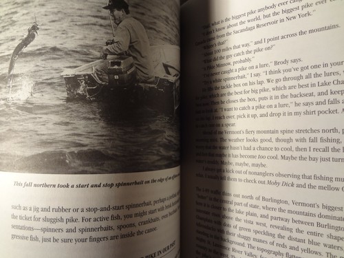 Northern Pike - Will Ryan Book - Picture 4 of 9
