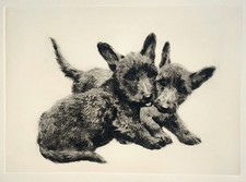 "Scotchterrier" Radierung von Kurt Meyer-Eberhardt (Hanfstaengl Nachlass)