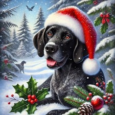 German Shorthaired pointer Christmas kitchen towels