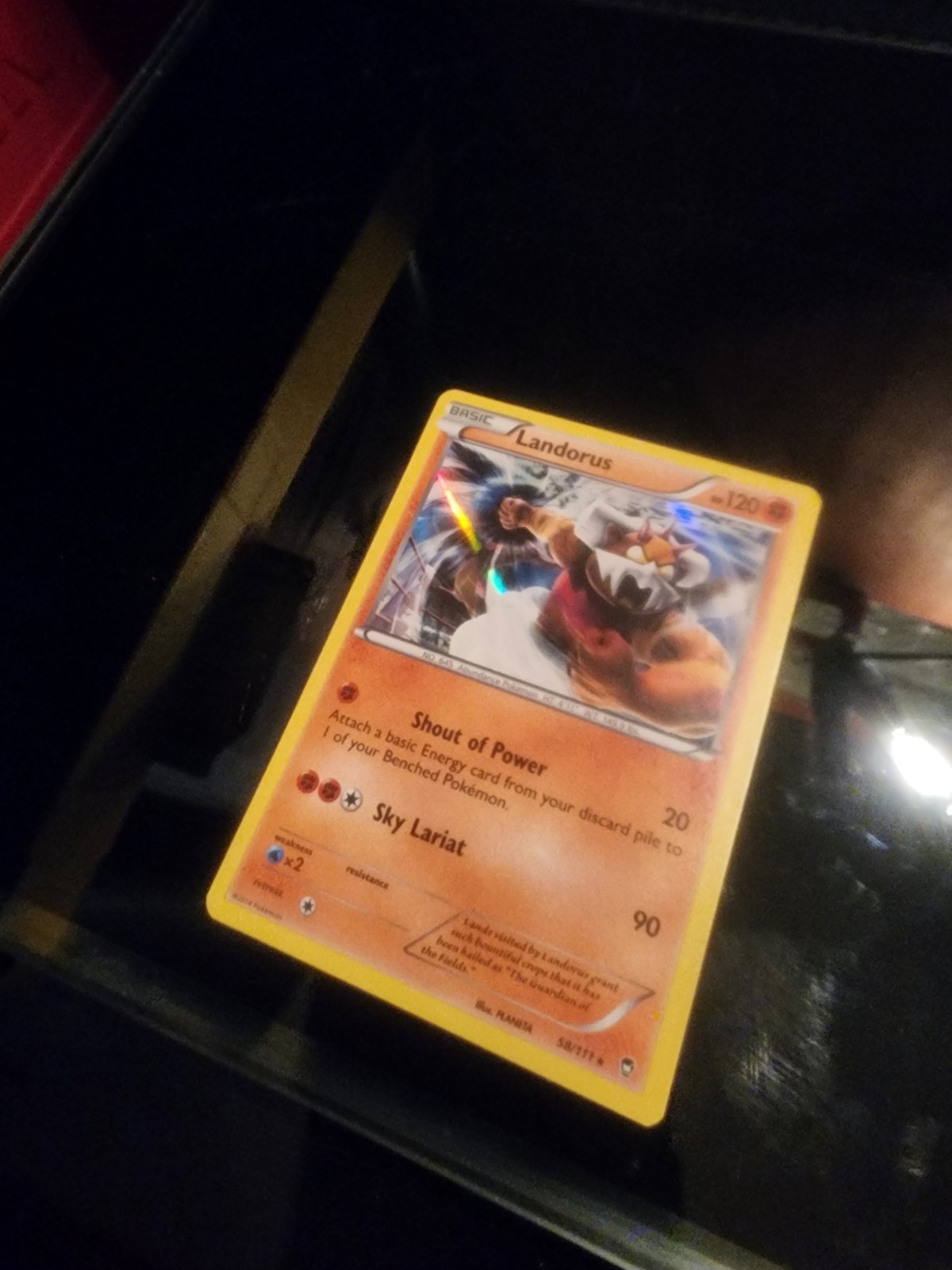 Landorus 58/111 Holographic Rare XY Furious Fist Pokemon TCG LP/NM