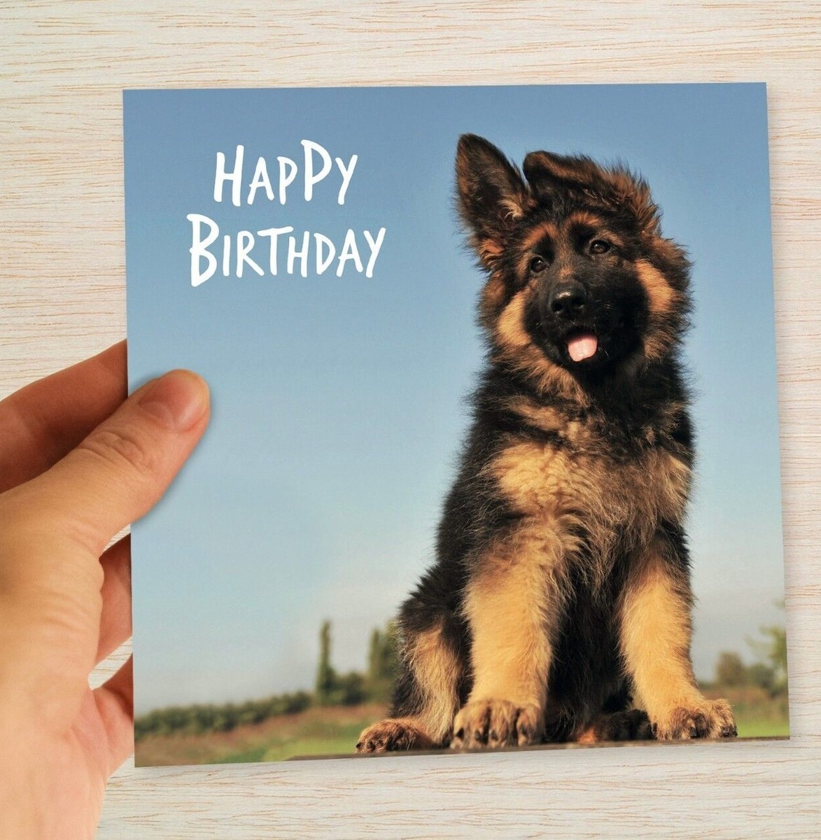 German Shepherd Birthday Card Alsatian GSD Puppy for Dog Dad mum