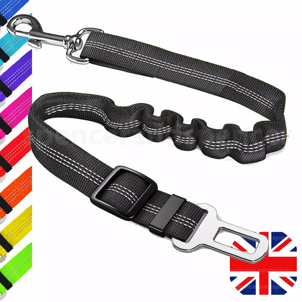 Nylon Dog Lead 3 Sizes Dog Leash Carabiner Easy Fix Clip Strong FREE P&P