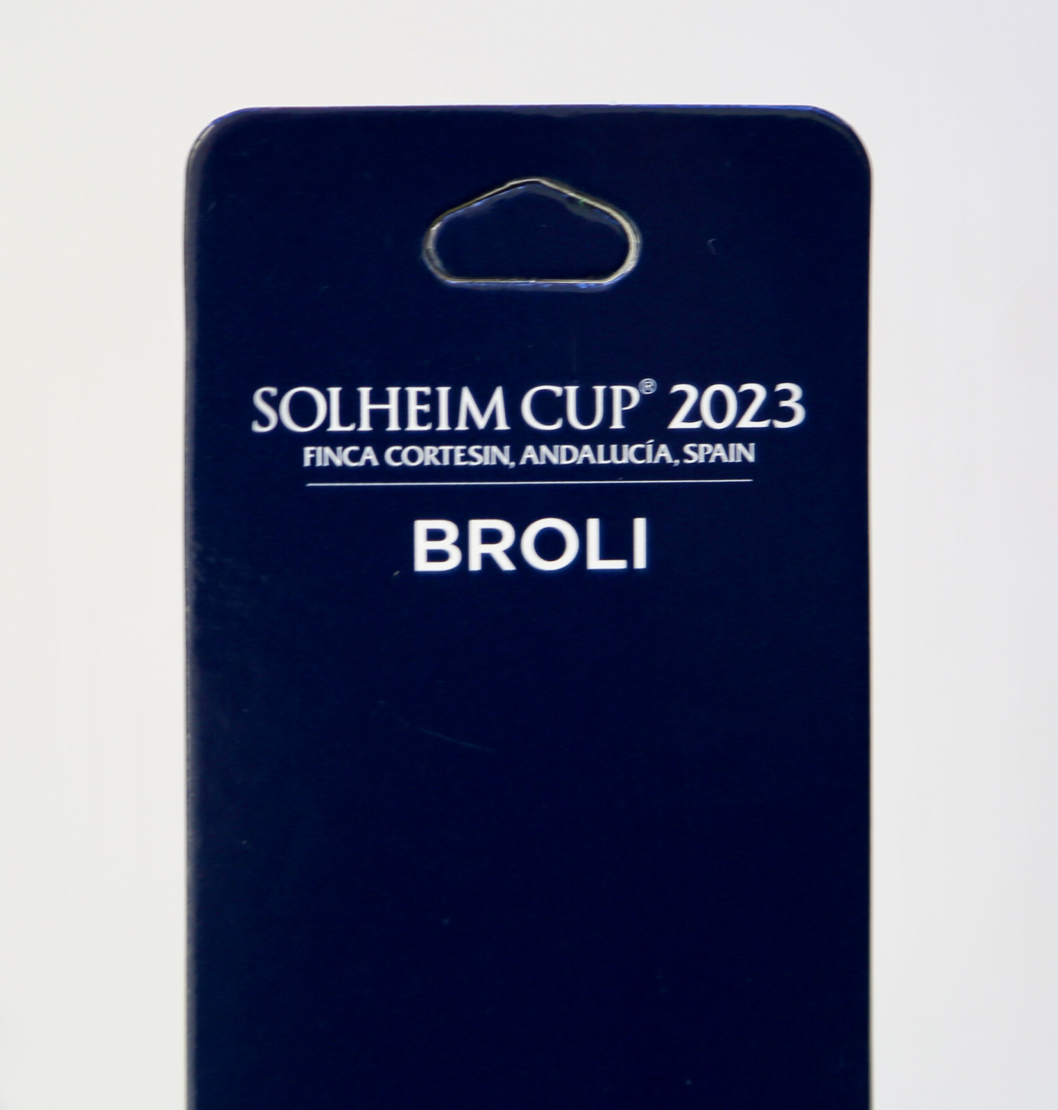 Bild 6 von 9