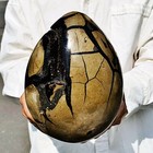 8.29LB Natural Turtle Back Stone Dragon Crystal Cave Crack Gem Healing — photo 8