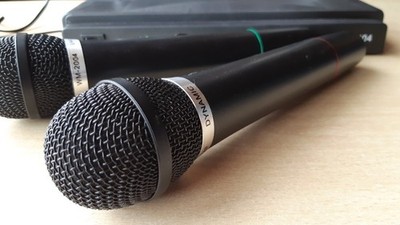 2-Kanal Funkmikrofon Funk Mikrofon Wireless Microphone System Party Mikro