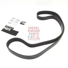 3938693 Original Belt V Ribbed for Cummins 4bt3.9L/6bt5.9 8pk1363