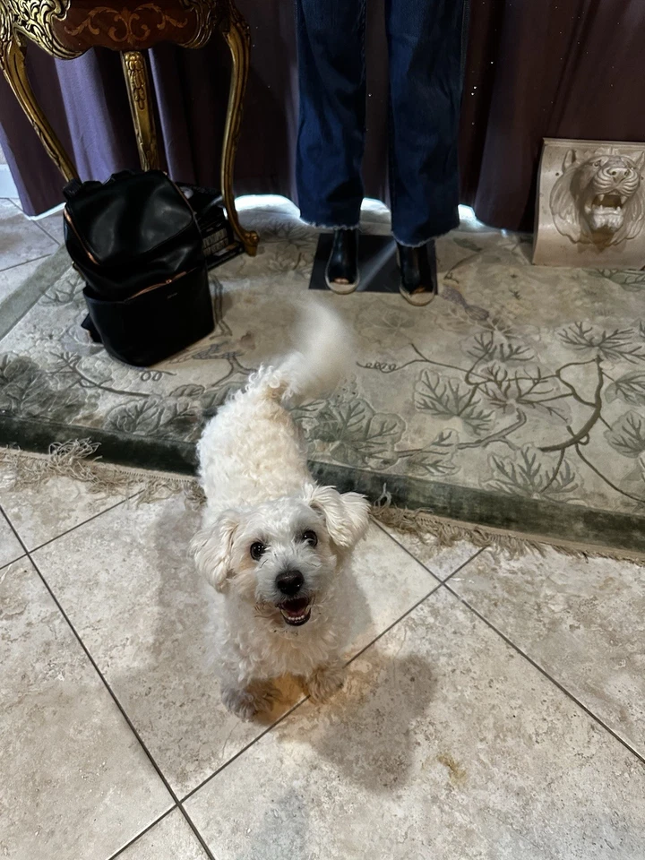 Jeans vintage Stüssy Sista Carpenter años 90 dobladillo crudo hechos en Australia Foto 3 de 4