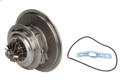 Cartuccia / CHRA / Nucleo Assy EVORON EVCH0244 per C6 (TD_) 2.2 2006-2012