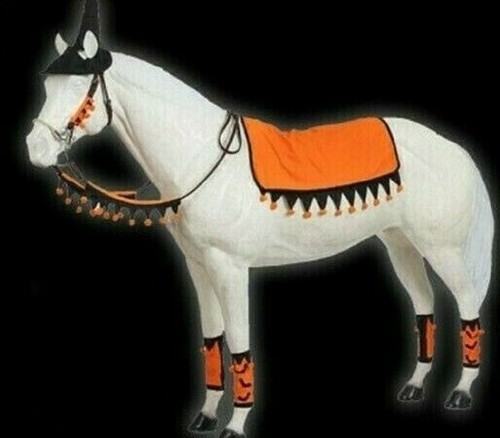 5 pc. HALLOWEEN HORSE WESTERN SET w 