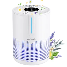  Air Purifier for Large Room Allergies Home Pet, Smoke, Double H13 HEPA Filters