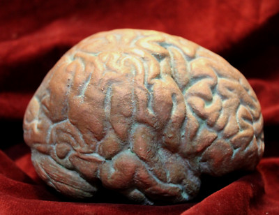 Real Metal Human Brain Model Doctors Medical School Decor Gothic Death Art Mask