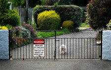 Warning Metal Tin Sign Beware of the Dog the Cat is Shady As Hell Too Funny D...