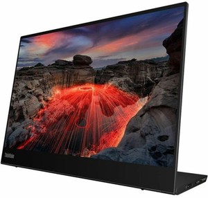 Lenovo Thinkvision M14 | eBay