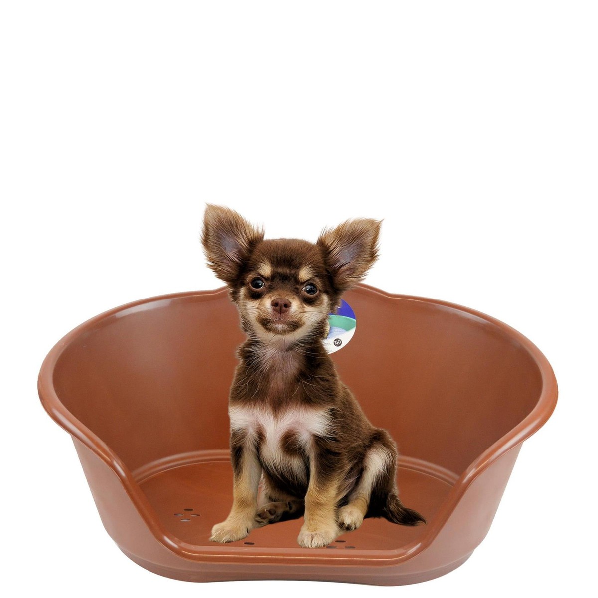 Heavy Duty Plastic Waterproof Pet Dog/Cat Bed Basket Small Brown