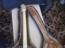 Ludwig banjo