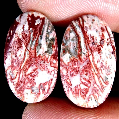 Natural Bird Eye Jasper Matched Pair Oval Pear Cushion Cab Loose Gemstone PK14 - Imagen 49 de 165