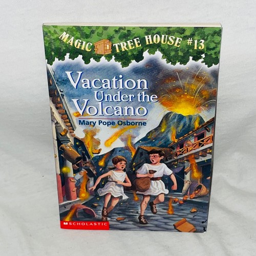 Magic Tree House Chapter Books ~ YOU CHOOSE PICK, BUILD A LOT Merlin Missions - Picture 14 of 50